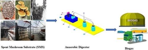 Production of biogas from various types of spent mushroom substrate under different growth conditions