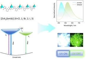 Halide modulated room-temperature phosphorescence from one-dimensional metal‒organic halides for time-resolved anti-counterfeiting