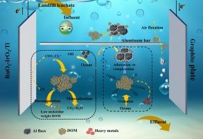 Mechanism and molecular level insight of refractory dissolved organic matter in landfill leachate treated by electroflocculation coupled with ozone