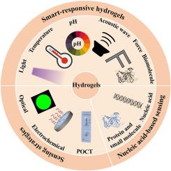 Application of smart-responsive hydrogels in nucleic acid and nucleic acid-based target sensing: A review