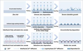 Interfacial local activation strategy tailoring selective zinc deposition pattern for stable zinc anodes