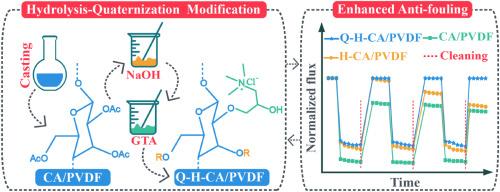 Facile and controlled dual-step modification with enhanced anti-fouling performance in polyvinylidene fluoride membranes