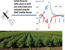 Satellite-based measurements of temporal and spatial variations in C fluxes of irrigated and rainfed cotton grown in India