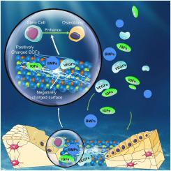 Osteoinductivity enhancement by tailoring the surface chemical bond status: A strategy to mobilize host bone growth factors for in situ bone regeneration