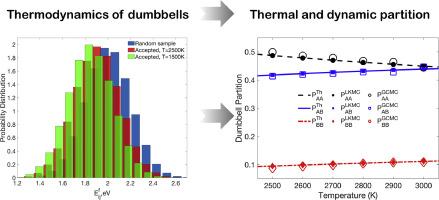 Thermal and dynamic partition of dumbbell interstitials in complex concentrated alloys