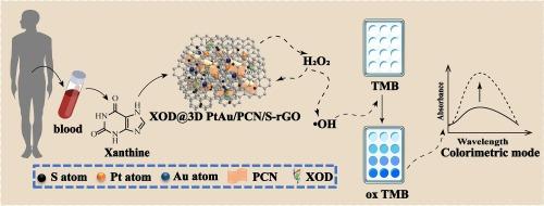 Novel enzyme cascade colorimetric nanosensing platform based on 3D diatomic nanozymes synergistically enhancing peroxidase-like activity for the detection of xanthine