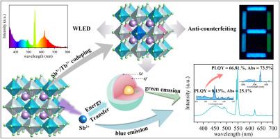 Dual-color emitting in rare-earth based double perovskites Cs2NaLuCl6: Sb3+, Tb3+ for warm WLED and anti-counterfeiting