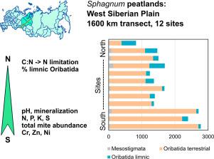 Landscape gradients in Sphagnum peatlands: Nutrients, trace elements and diversity of free-living mites (Arthropoda: Acari) along a 1600 km transect on the West Siberian Plain