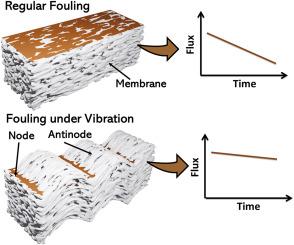 Real-time induced magnetic vibrational based antifouling mechanism for ultrafiltration (UF) membrane