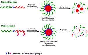 Recent advances in the synthesis and shell-sheddable disassembly of acid/glutathione-degradable block copolymer nanoassemblies for drug delivery