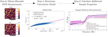 Enhancing nanoscale viscoelasticity characterization in bimodal atomic force microscopy†