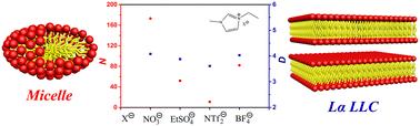 Self-assembly of the imidazolium surfactant in aprotic ionic liquids. The anion effect of aprotic ionic liquids†