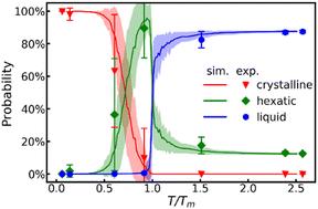 Observation of the hexatic phase in a two-dimensional complex plasma using machine learning