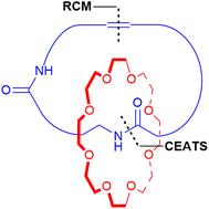 Synthesis of a [2]catenane by ring closing metathesis of a [2]rotaxane prepared by crown ether active templation†