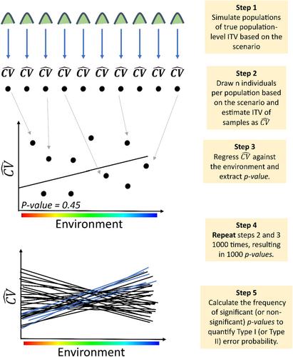 The influence of sample size and sampling design on estimating population-level intra specific trait variation (ITV) along environmental gradients