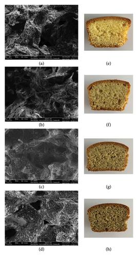 The Effect of Okra Seed (Abelmoschus esculentus) Powder Supplementation on Nutritional, Textural, Microstructural, and Sensory Properties of Gluten-Free Muffins