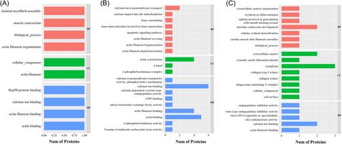 Effects of live transport methods on the survivability, physiological responses, and flesh quality of turbot (Scophthalmus maximus)