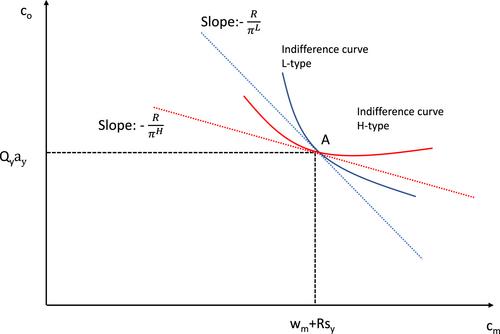 Hedging mortality risk over the life-cycle—The role of information and borrowing constraints