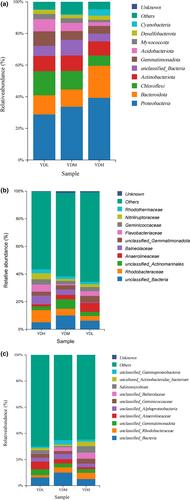 Effects of salt stress on the rhizosphere soil microbial communities of Suaeda salsa (L.) Pall. in the Yellow River Delta