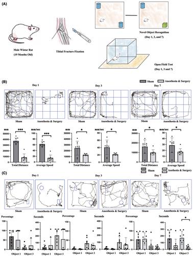 Expression of microRNA induced by postoperative delirium-like behavior is associated with long-term default mode network disruption: Sequencing and a secondary analysis of resting-state fMRI data