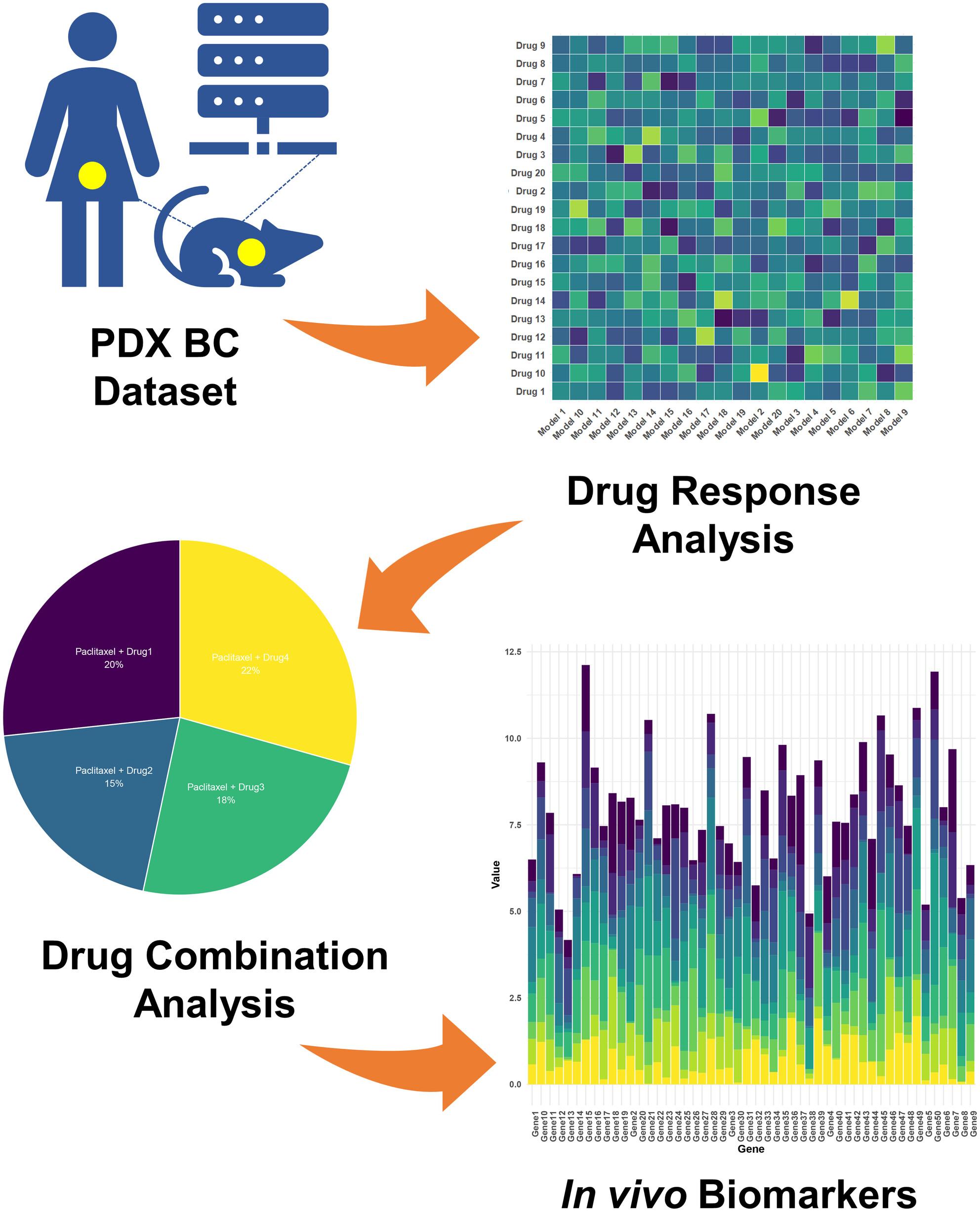 Unveiling the Therapeutic Potential of Paclitaxel Combinations Against Breast Carcinoma and Identification of In Vivo Biomarkers