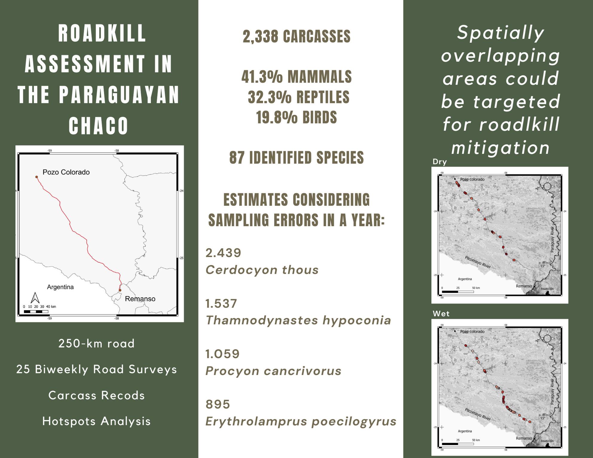 Unveiling the hidden impact: Wildlife roadkill assessment in the Paraguayan Chaco