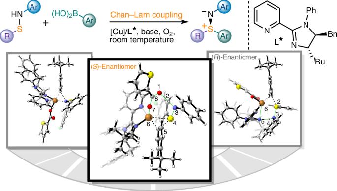 Enantioselective Chan–Lam S-arylation of sulfenamides