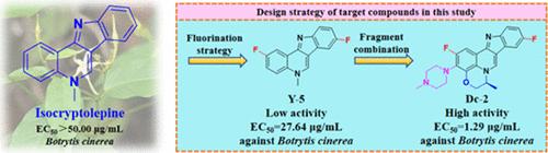 Design, Synthesis, and Antimicrobial Activity Evaluation of Novel Isocryptolepine Derivatives against Phytopathogenic Fungi and Bacteria