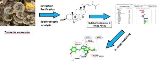 Ergostanes from the mushroom Trametes versicolor and their cancer cell inhibition: In vitro and in silico evaluation