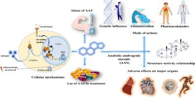 Evaluation of structural features of anabolic-androgenic steroids: entanglement for organ-specific toxicity