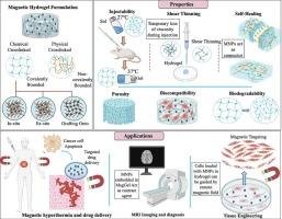 Magnetic hydrogel (MagGel): An evolutionary pedestal for anticancer therapy