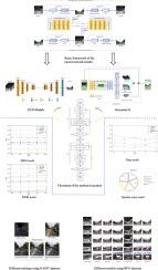 APE-GAN: A colorization method for focal areas of infrared images guided by an improved attention mask mechanism