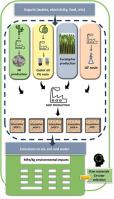 Life cycle assessment as a circular economy strategy to select eco-efficient raw materials for particleboard production