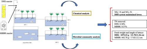 Performance comparison of down-flow hanging sponge reactor and moving bed bioreactor for aquaponic systems