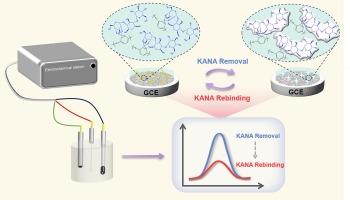 Boronate affinity molecularly imprinted electrochemical sensor based on electrospun carbon nanofibres for selective kanamycin detection