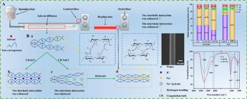 Preparation of carrageenan fibers promoted by hydrogen bonding in a NaCl coagulation bath