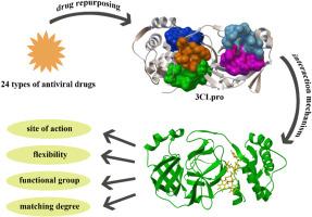 Evaluation of inhibition effect and interaction mechanism of antiviral drugs on main protease of novel coronavirus: Molecular docking and molecular dynamics studies