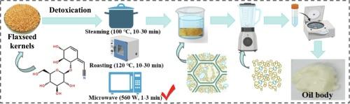 Cyanide content, nutrient composition, physicochemical properties and sensory quality of flaxseed oil bodies prepared from flaxseeds (Linum usitatissimum L.) treated with different heat treatment methods