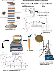 Amine-functionalized cellulose-silica composites for the remediation of hexavalent chromium (Cr IV) in contaminated water