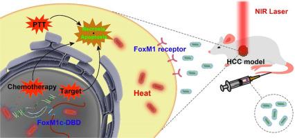 A “precision medicine” nanoplatform for synergistic photothermal therapy and chemotherapy in hepatocellular carcinoma