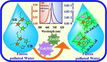 Bimetallic complexation for significant fluorescence enhancement of faecal pigment towards water quality testing