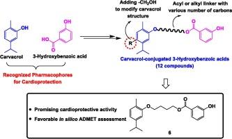 Carvacrol-conjugated 3-Hydroxybenzoic Acids: Design, Synthesis, cardioprotective potential against doxorubicin-induced Cardiotoxicity, and ADMET study