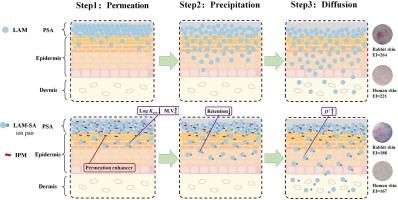 Development of levamlodipine long-acting patches based on an ion-pair strategy: Investigation of the mechanism for reducing skin irritation