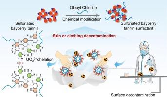 Fabrication of recoverable plant polyphenol-based surfactants for efficient removal of uranyl ions from skin and cotton fabric