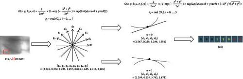 A Finger Vein Recognition Algorithm Based on the Histogram of Variable Curvature Directional Binary Statistics