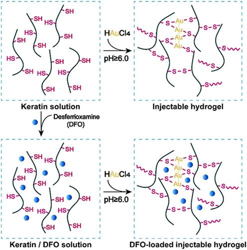 Protein hydrogels for biomedical applications