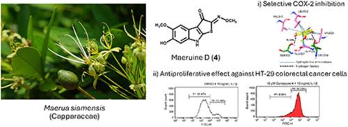 Maeruines A−E, elusive indole alkaloids from stems of Maerua siamensis and their inhibitory effects on cyclooxygenases and HT-29 colorectal cancer cell proliferation