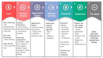 Drug-induced torsadogenicity prediction model: An explainable machine learning-driven quantitative structure-toxicity relationship approach