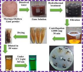 ZnO/carbon quantum dots nanocomposites derived from Moringa oleifera gum: An improved catalytic vitiation of methylene blue dye