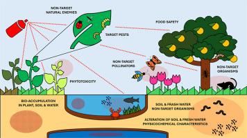 Ecological costs of botanical nano-insecticides